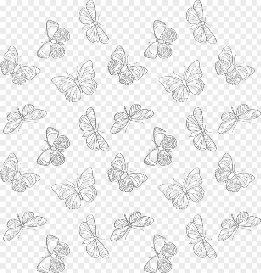 Vector Butterfly Line Art Google Images Purple Clip PNG