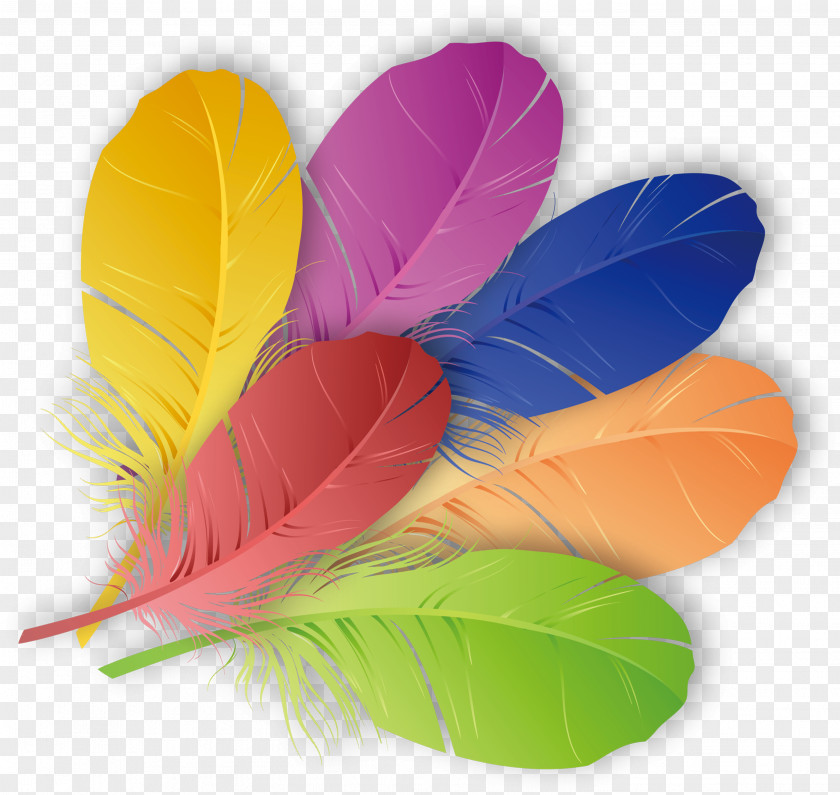 Colored Feathers The Floating Feather Color PNG