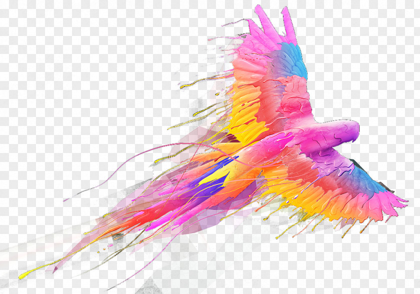 Colored Parrot Flying Bird PNG