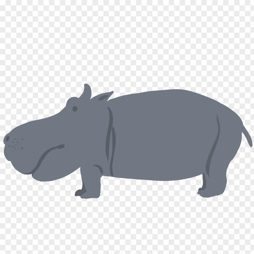 Kaba Hippopotamus Pig Animal Mammal PNG