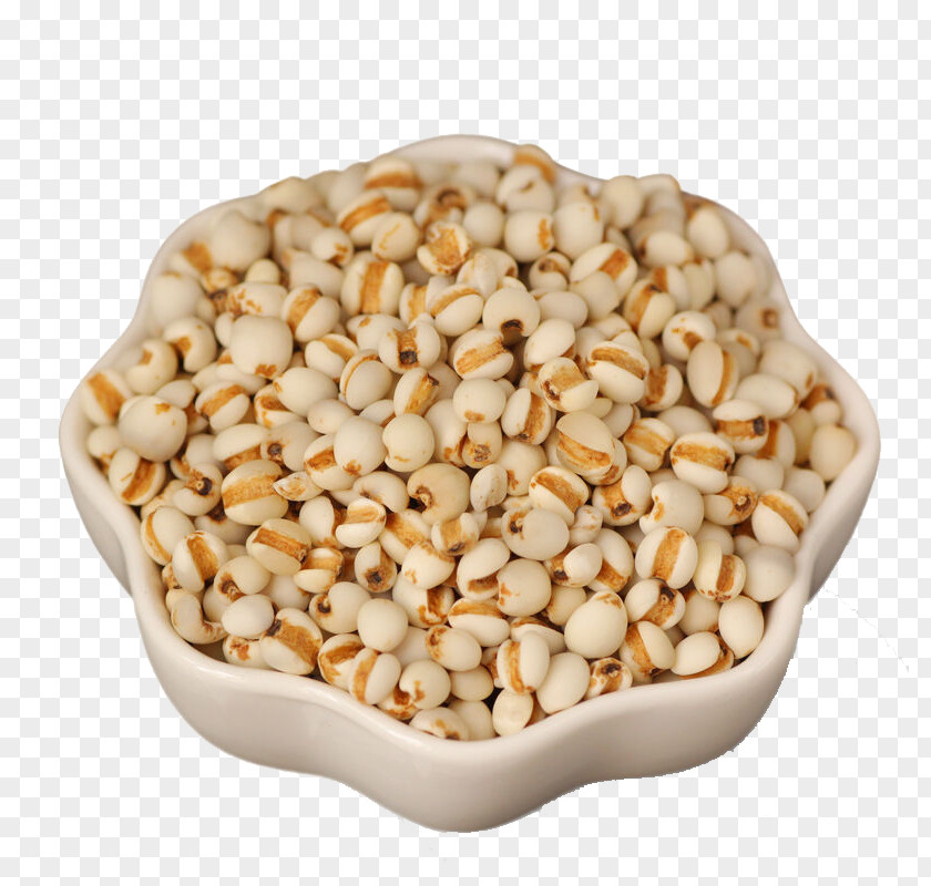 Organic Barley Coix Lacryma-jobi Food Maize Adzuki Bean PNG