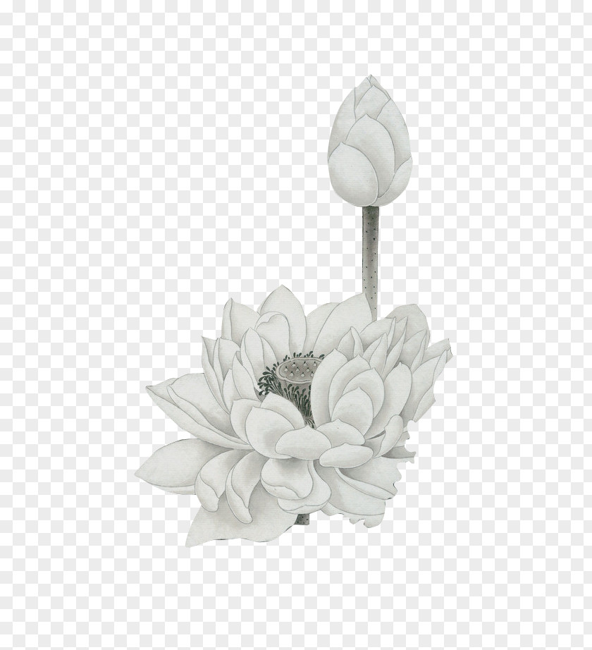 White Lotus And Bud Watercolor Painting PNG