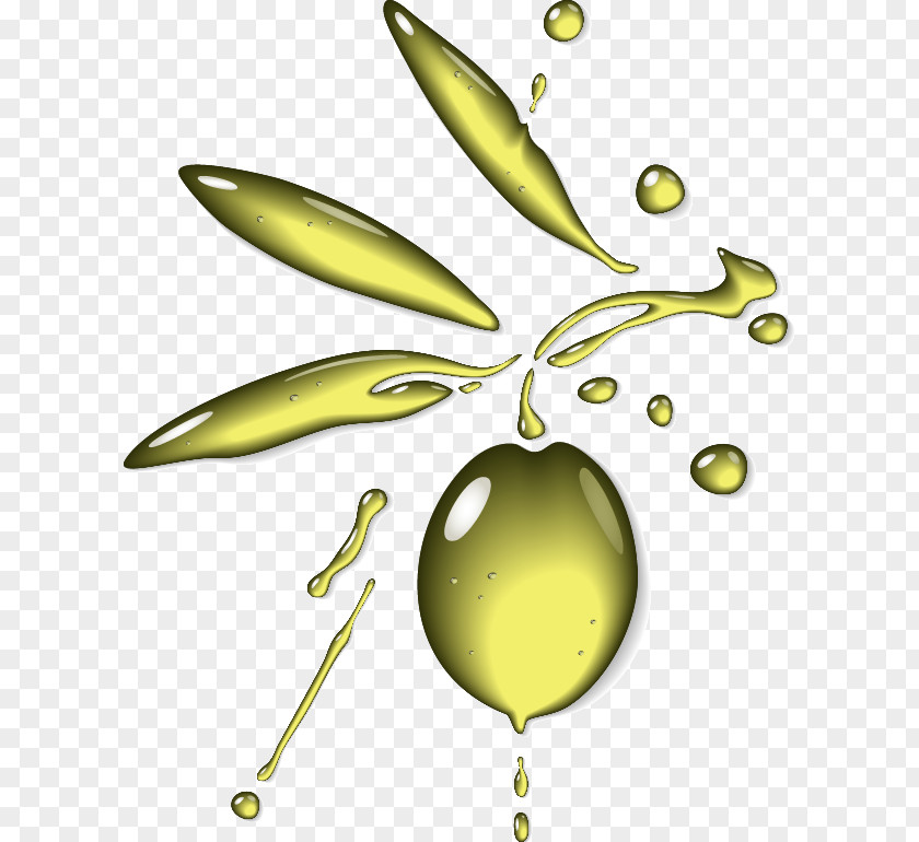 Yellow Water Droplets Olive Oil Clip Art PNG