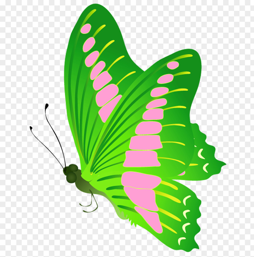 Butterfly Monarch Insect Brush-footed Butterflies Clip Art PNG