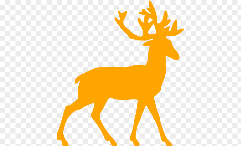 Deer White-tailed Rudolph Reindeer Clip Art PNG