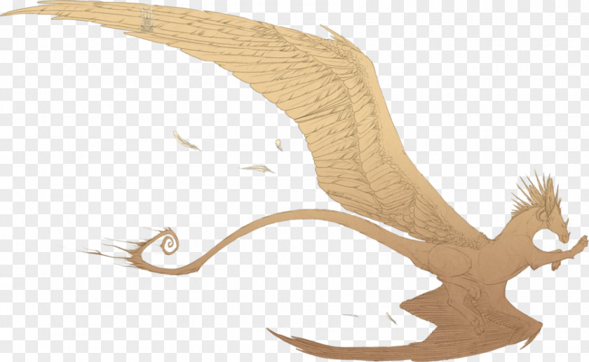 Floating Feathers Dragon Art Drawing Sketch PNG
