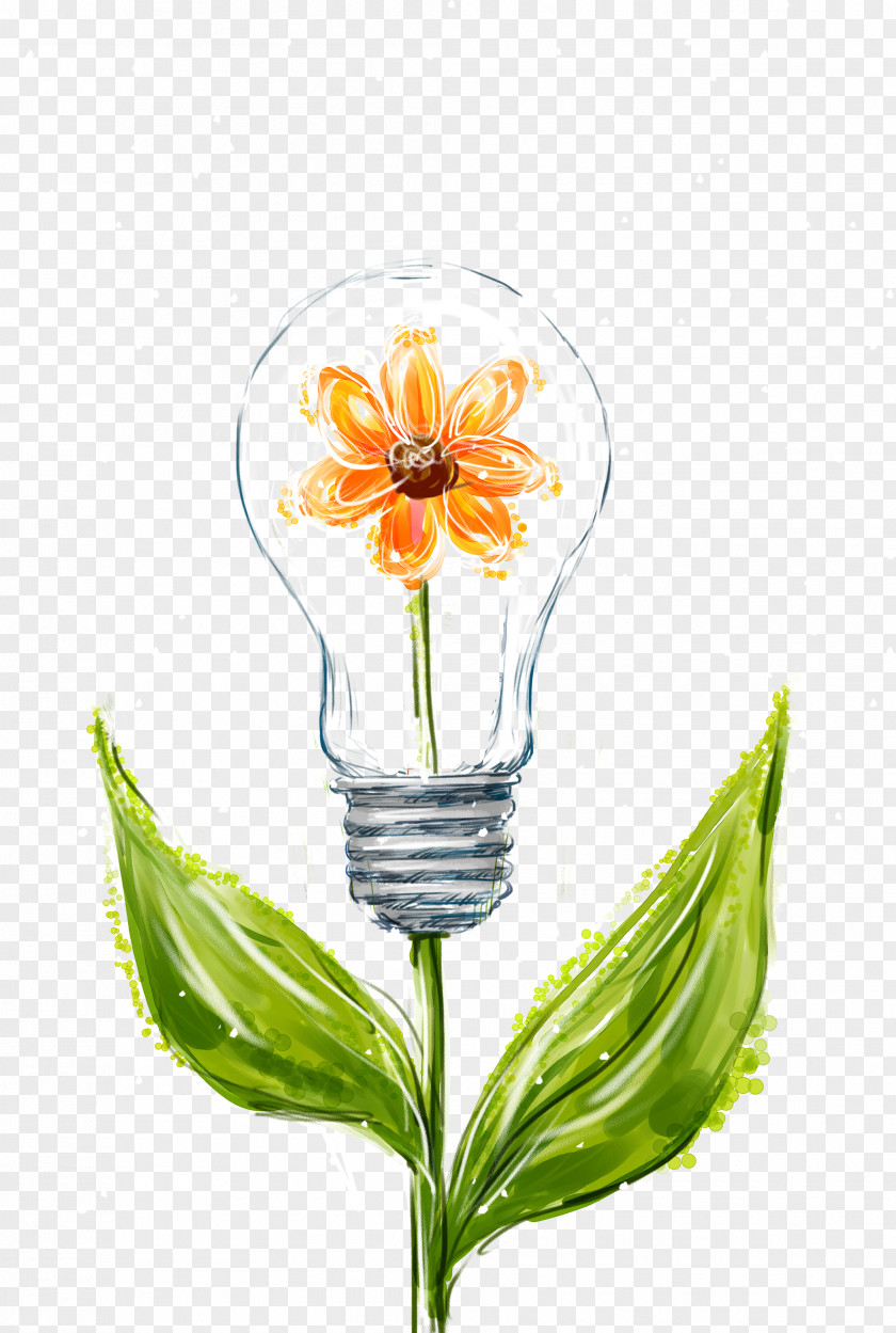 Flower Bulbs Incandescent Light Bulb PNG