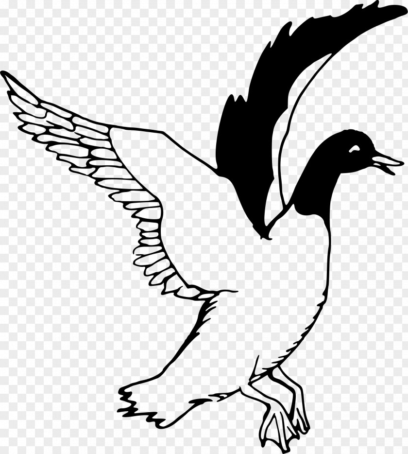 Flying Bird Duck Decoy Clip Art PNG