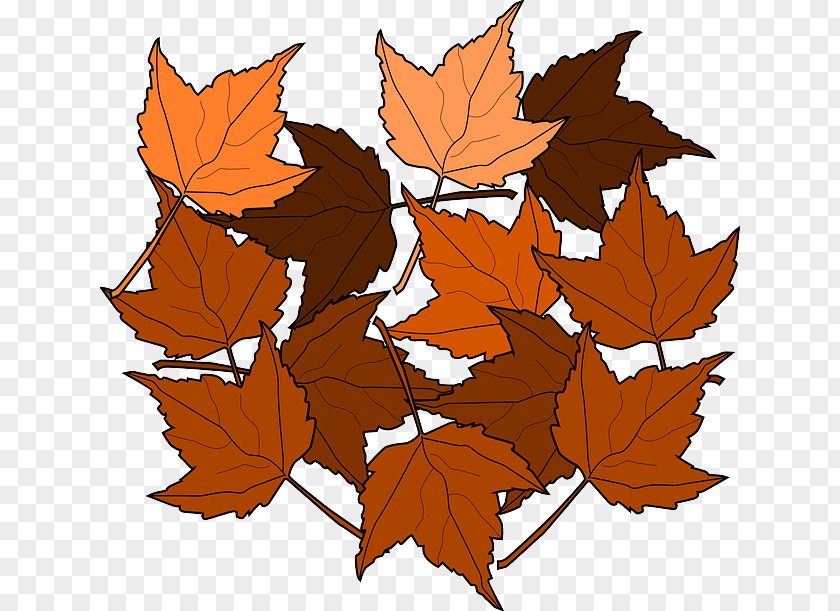 Greenery Autumn Leaf Color Maple Clip Art PNG