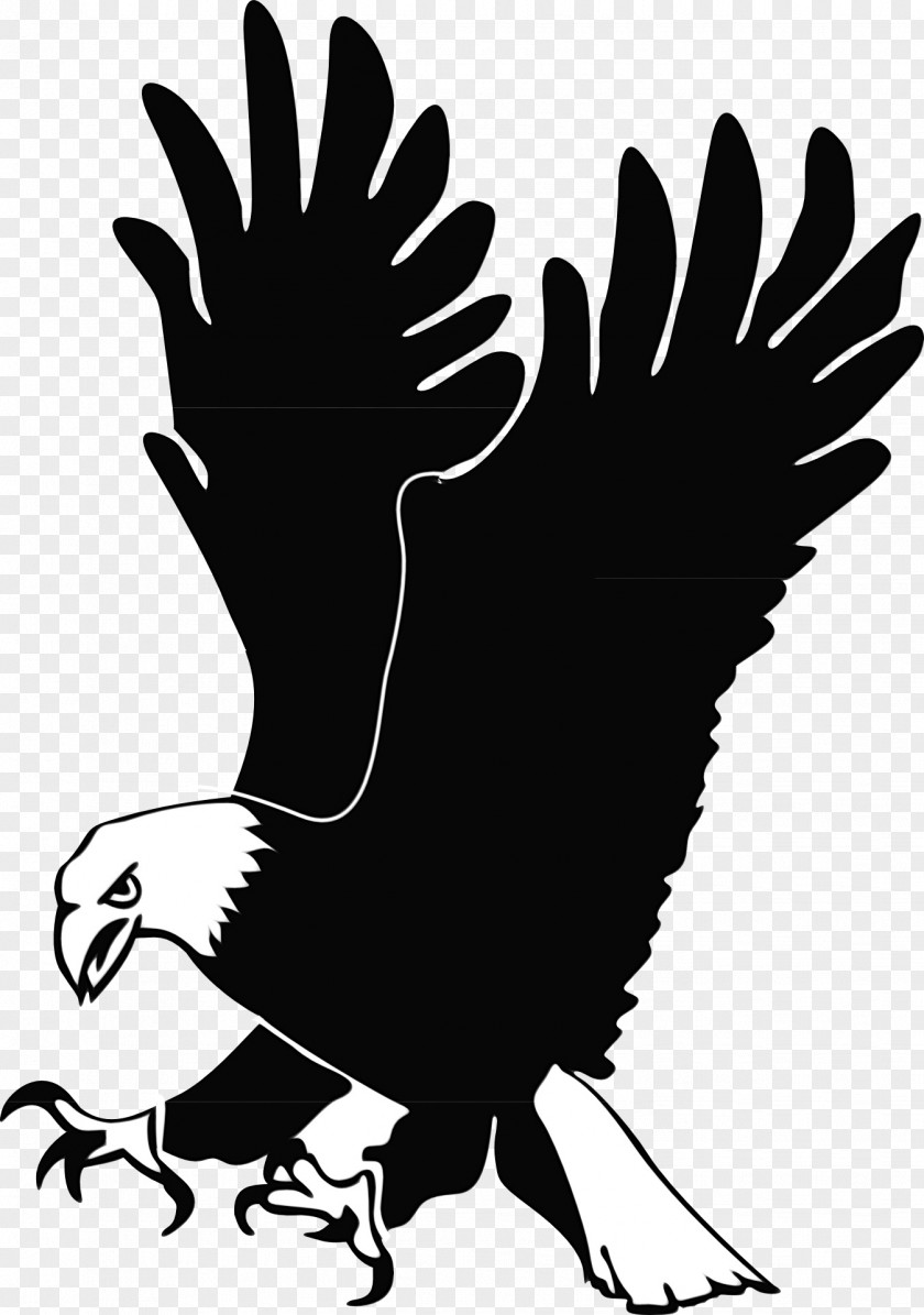 Rooster Blackandwhite Bird Silhouette PNG