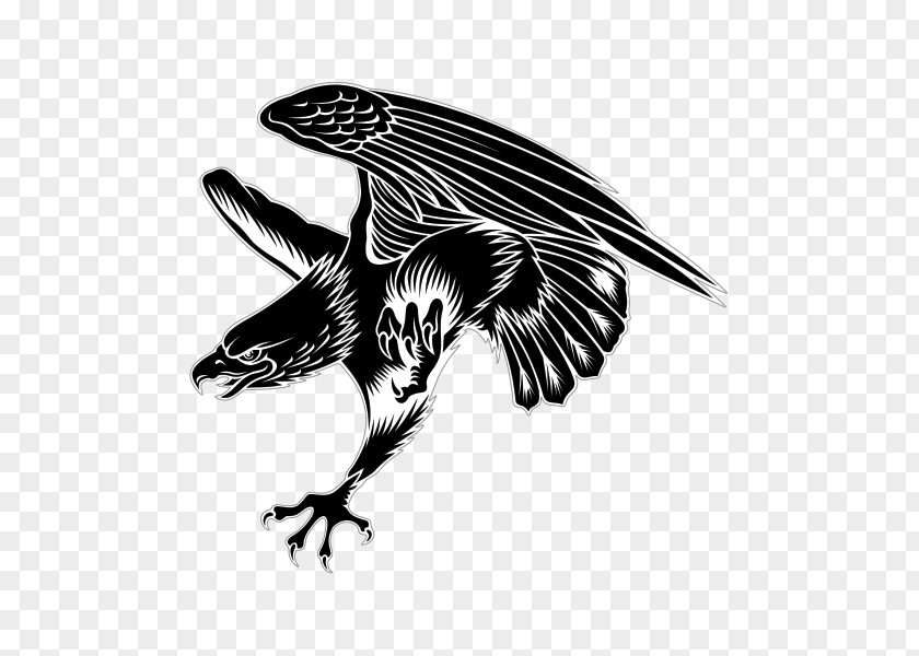 Bald Eagle Sticker Decal Hawk PNG