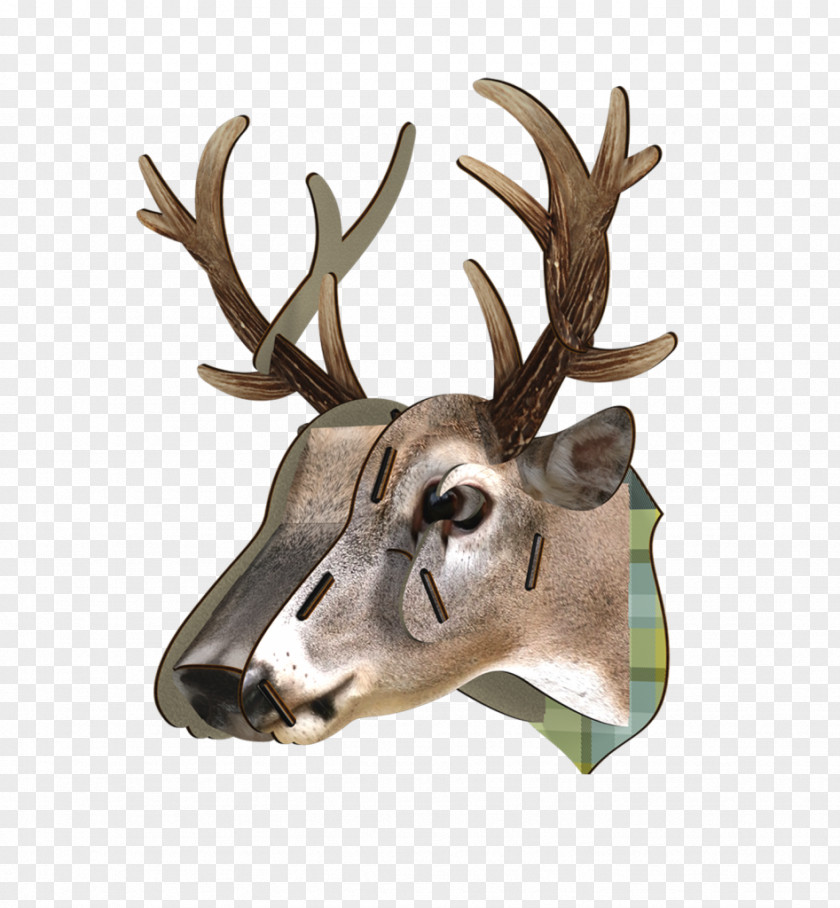 Deer Head White-tailed Drawing Moose Sculpture PNG