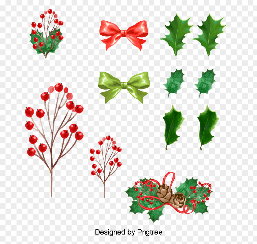 Flower Plant Christmas Tree Drawing PNG