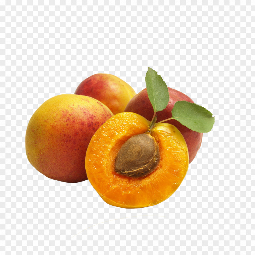 Peach Fruit Apricot Wallpaper PNG