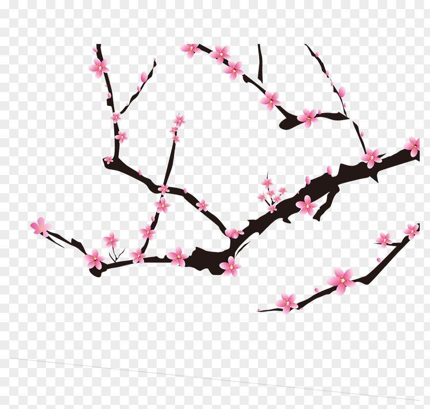 Plum Flower Download Icon PNG