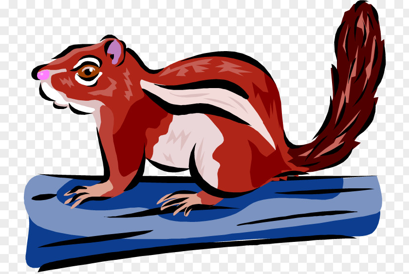 Squirrel Clip Art Eastern Chipmunk Graphics PNG