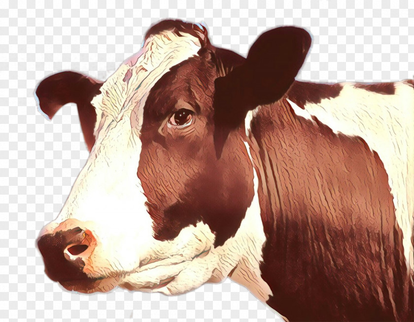 Bull Ear Bovine Dairy Cow Calf Livestock Cow-goat Family PNG