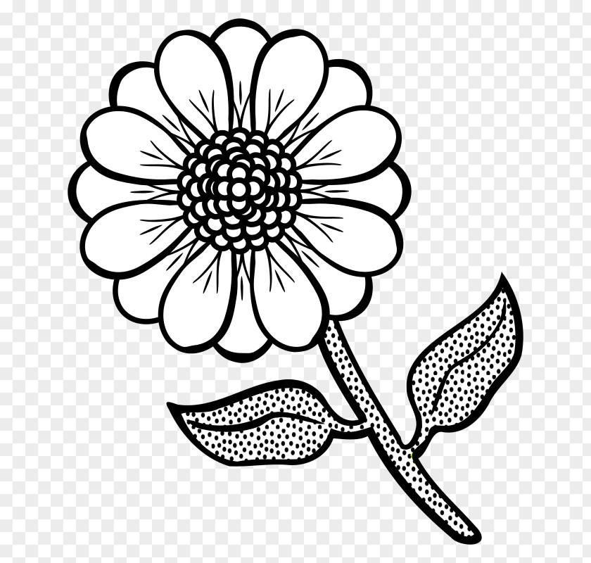 Child Coloring Book Drawing Wildflower PNG