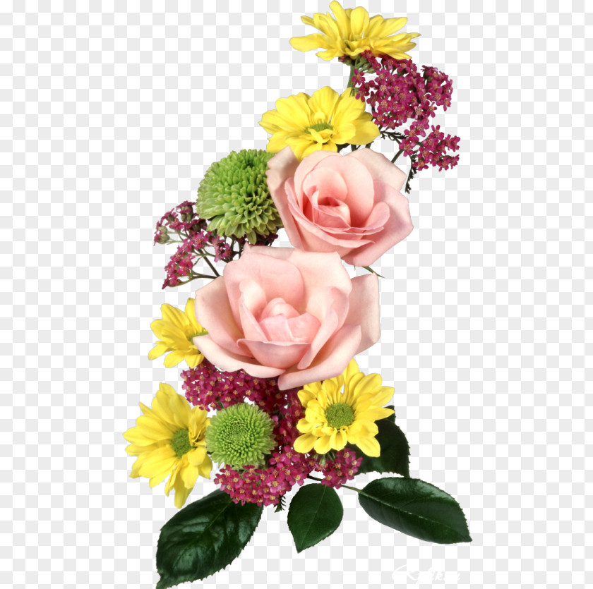 Flower Garden Roses Floral Design Cut Flowers PNG