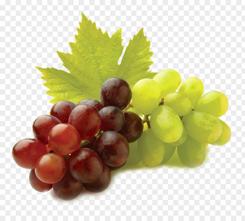 Grape Seed Extract Fruit Grapevines Leaves PNG