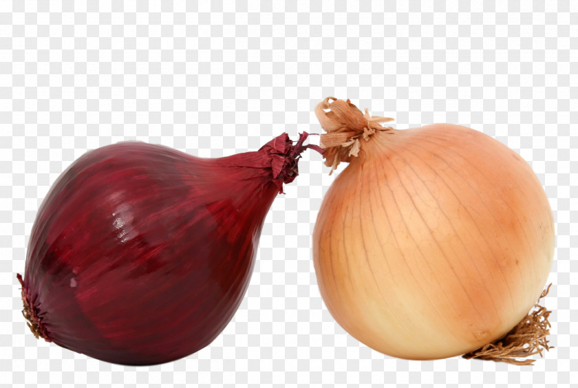 Health Yellow Onion Shallot Red Food PNG