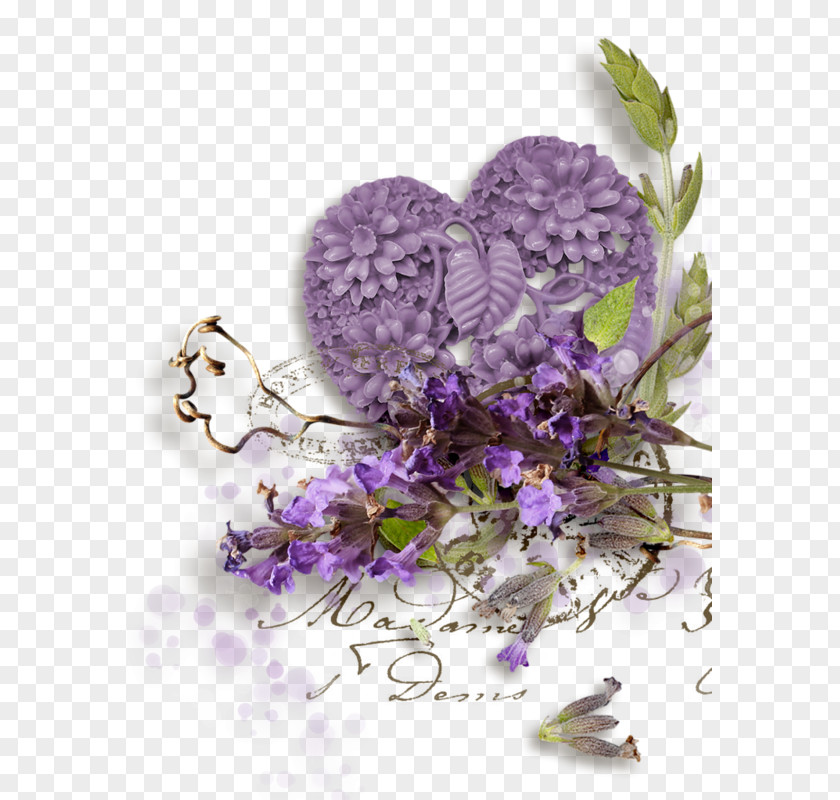 Lavender Botany Provence PNG