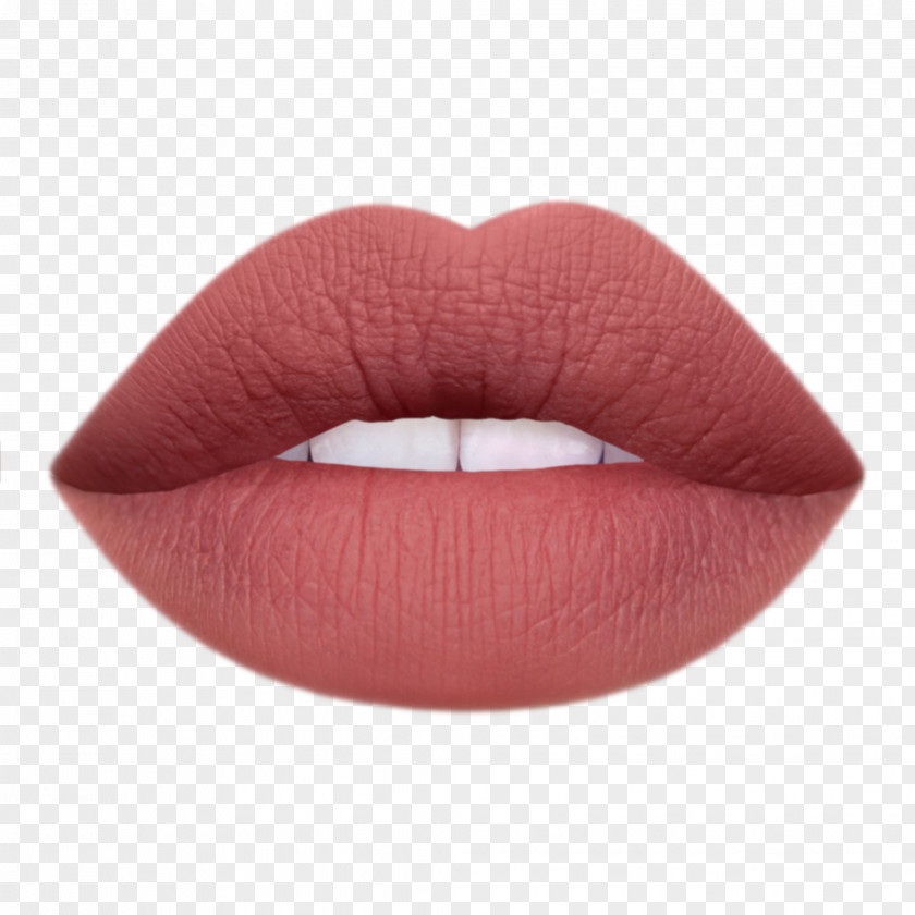 Lipstick Cruelty-free Cosmetics Color Eye Shadow PNG