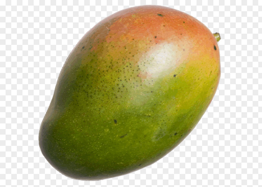 Mangue Mango PNG