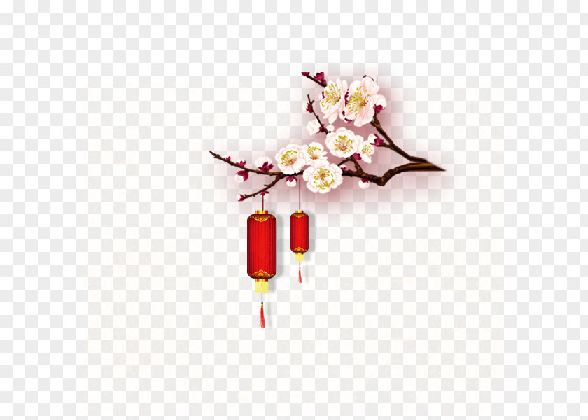 Peach Bloom Chinese New Year Lantern Festival U5e74u8ca8 PNG