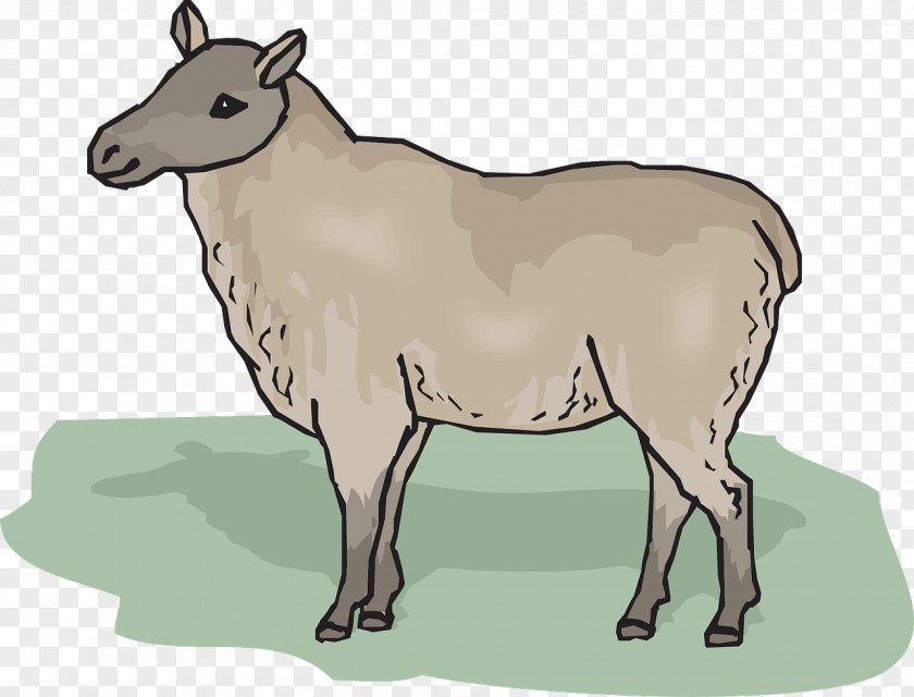 Sheep On The Grass Clip Art PNG