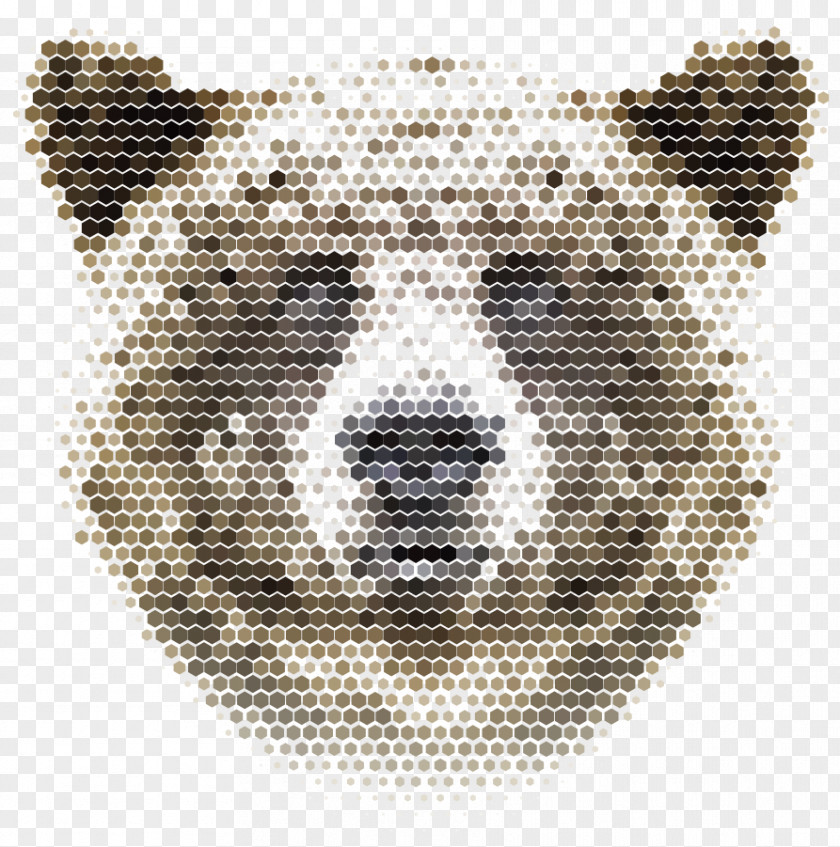 Cartoon Polar Bear Gray Wolf Geometry PNG