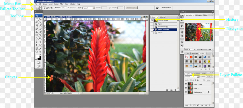 Computer Graphics Software Editing Video PNG