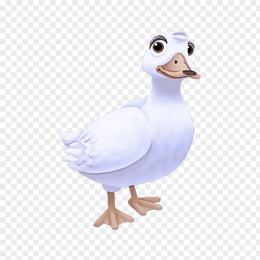 Duck Goose Mallard Swans Water Bird PNG
