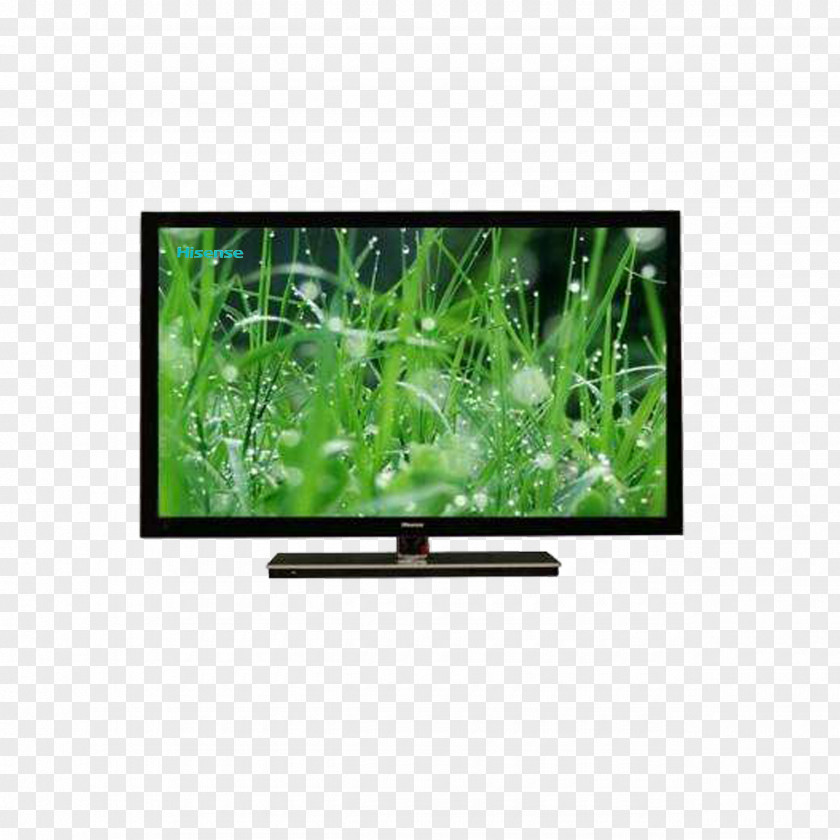 Hisense TV Nature Display Resolution Natural Environment Computer Monitor Wallpaper PNG