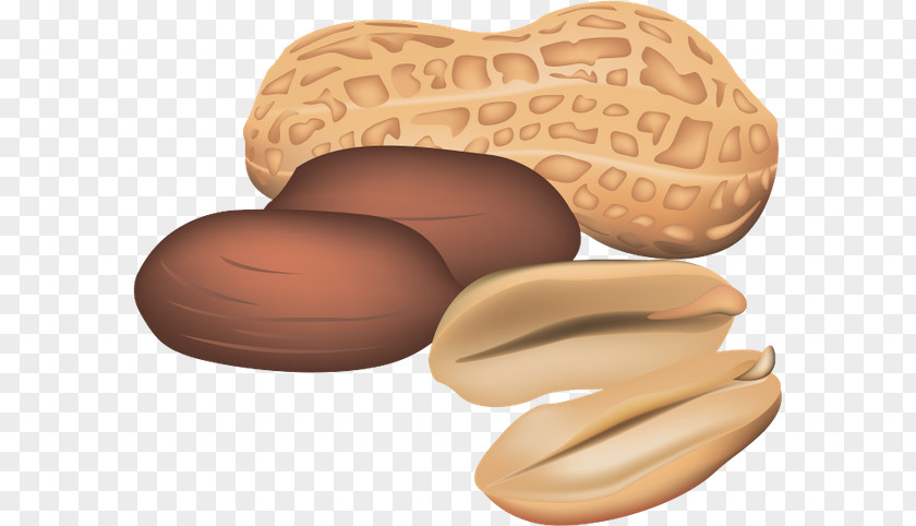 Peanut Clip Art PNG
