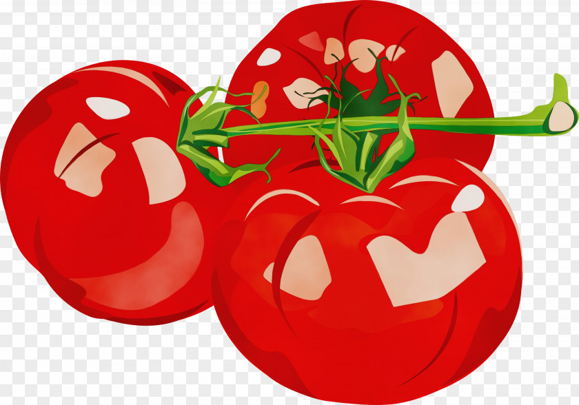 Tomato Food PNG