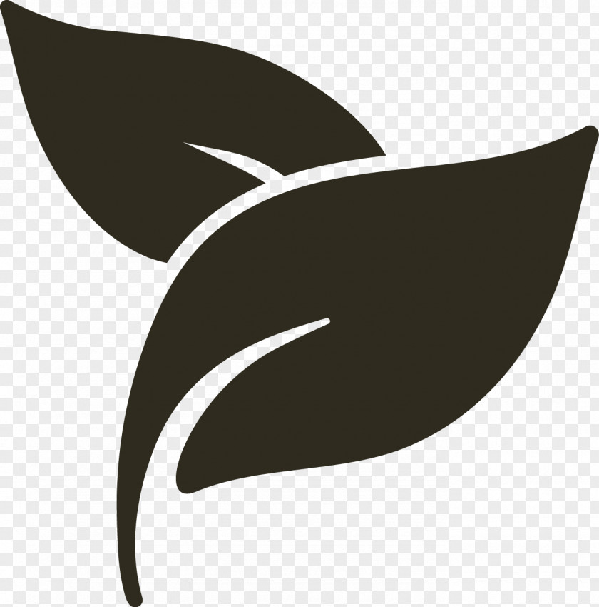 Biology Leaf PNG