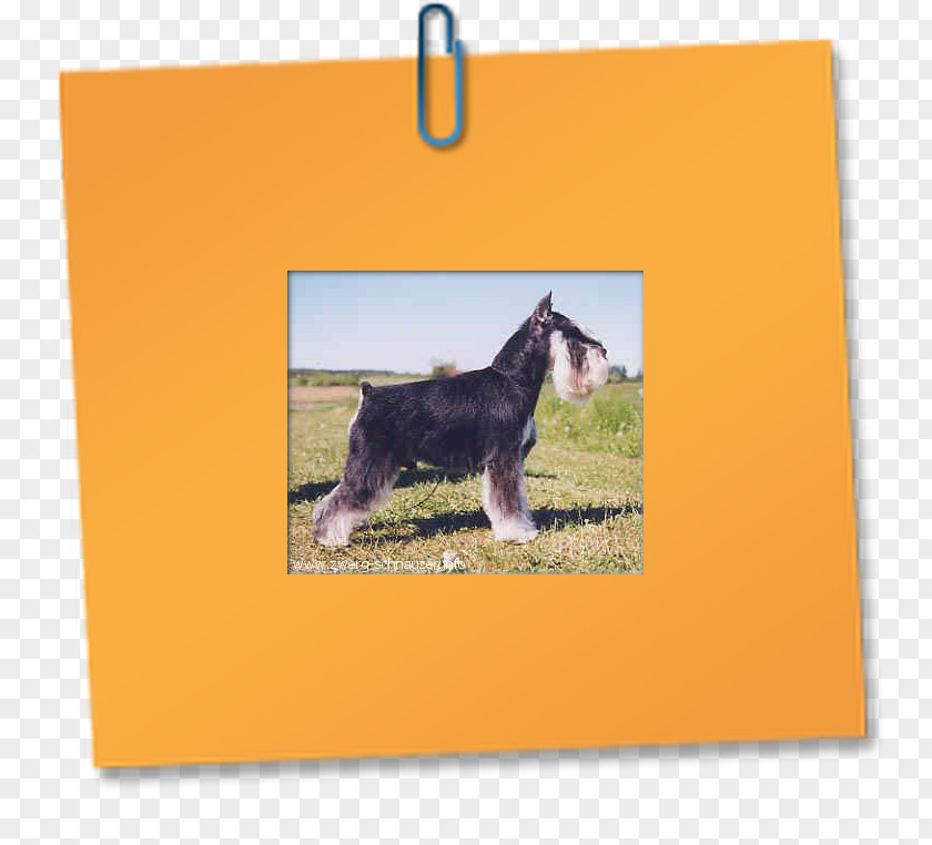 Dog Breed Donkey Snout PNG