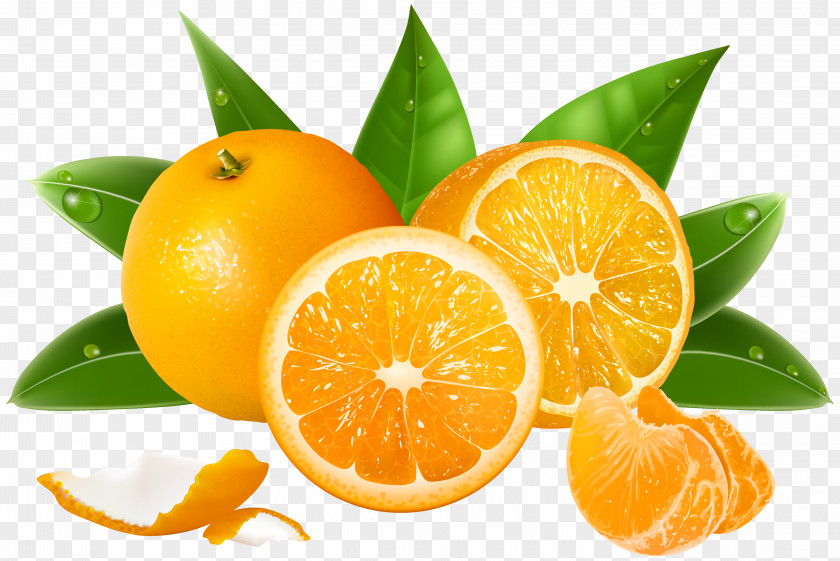 Oranges Clipart Image Juice Lemon Grapefruit Orange PNG