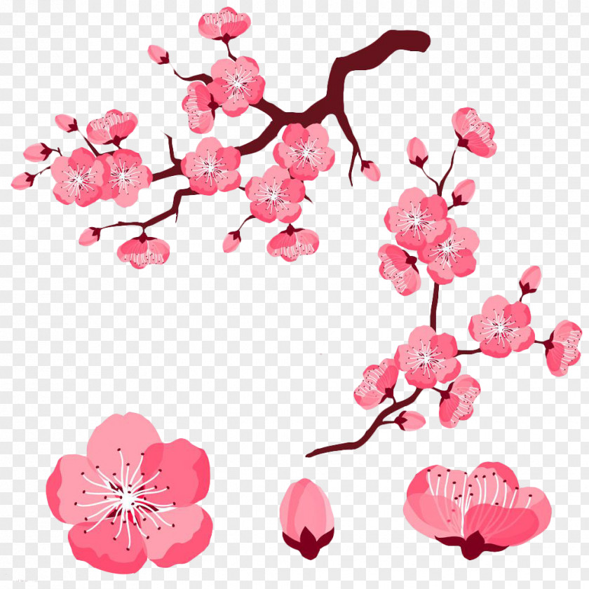 Pink Cartoon Cute Peach Cherry Blossom Adobe Illustrator Clip Art PNG