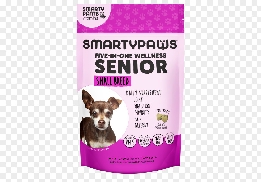 Elderly Home Puppy Dog Breed Product Snout PNG