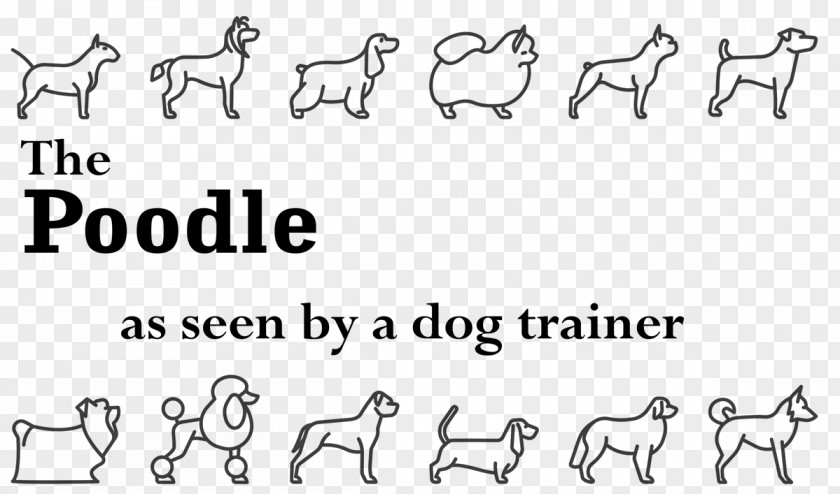 Poodle Dog Horse Pet Cat Animal PNG