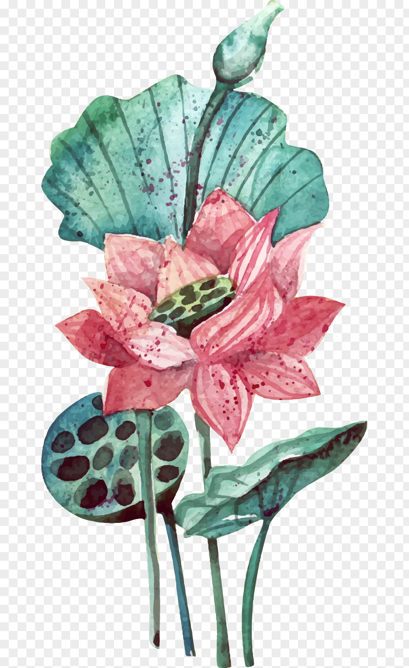 Vector Hand-painted Lotus Watercolor Painting Flower PNG