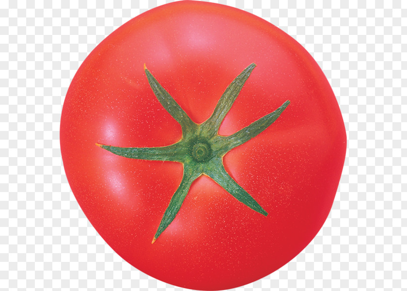Vegetable Tomato Clip Art PNG