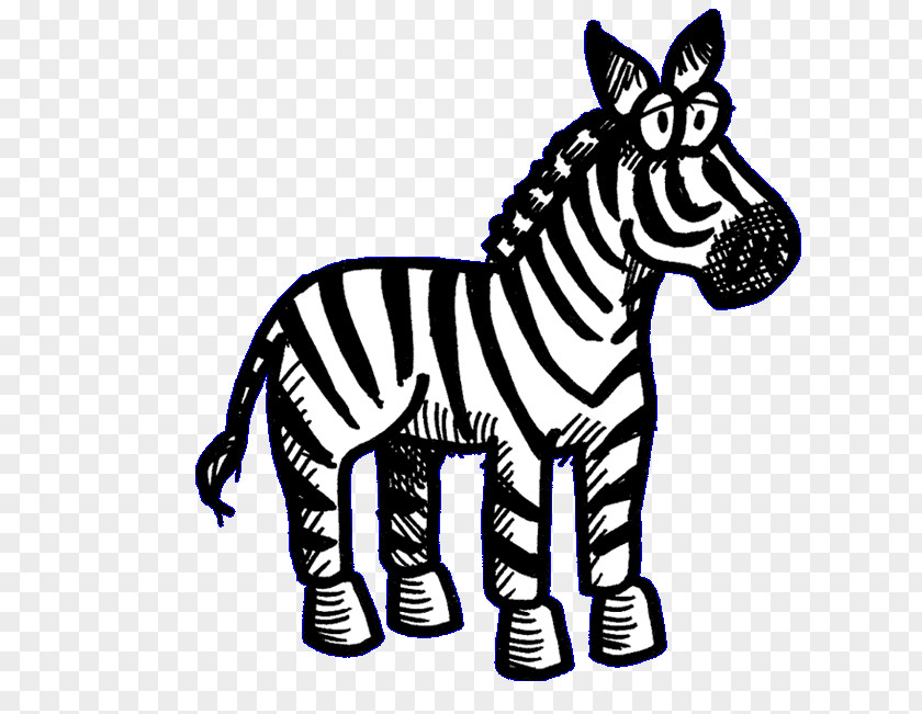 Alphabet Zebra Gum Quagga Cat Animal PNG