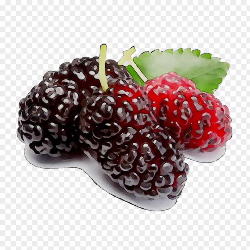 Boysenberry Black Mulberry White Fruit Raspberry PNG