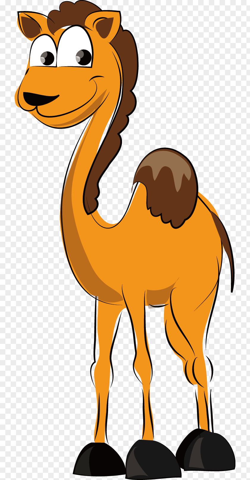 Camel Vector Dromedary Cartoon PNG