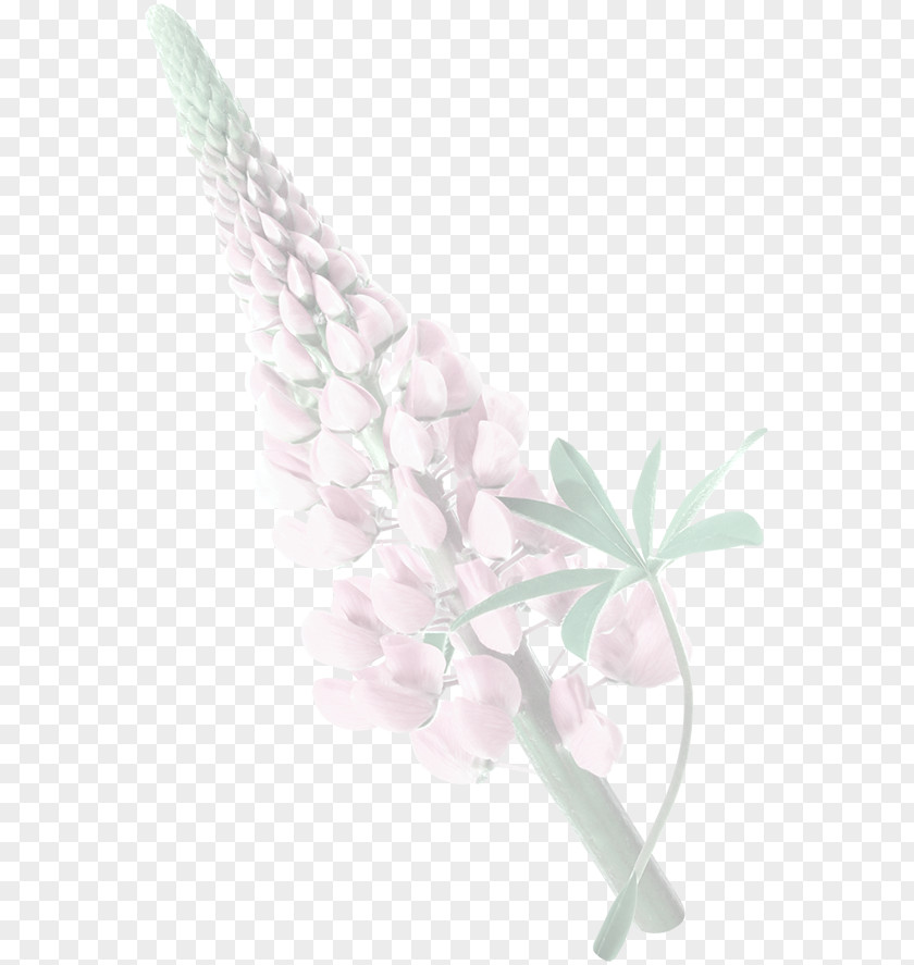 Creative Image Rice Flower Arroz Con Pollo Icon PNG