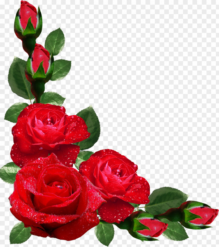 Rose Flower Picture Frames Japanese Border Designs Clip Art PNG