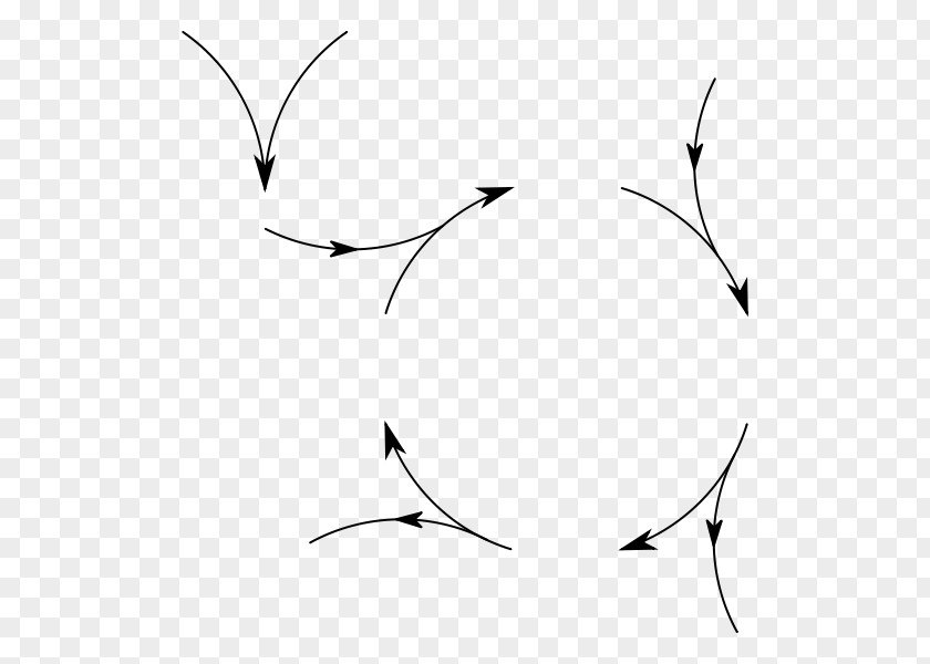 Urea Cycle Arginine Ornithine Citrulline PNG